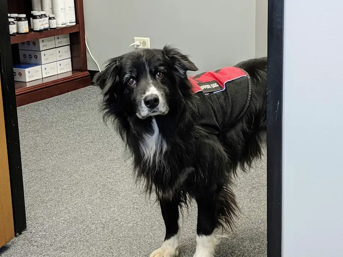 Dr. Harrison's Center of Functional Medicine Picture 9