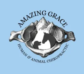 Amazing Grace Human and Animal Chiropractic Picture 1