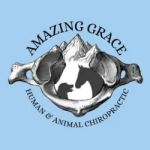 Amazing Grace Human and Animal Chiropractic