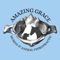 Amazing Grace Human and Animal Chiropractic ico