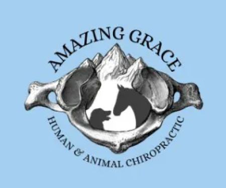 Amazing Grace Human and Animal Chiropractic