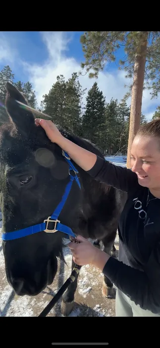 Amazing Grace Human and Animal Chiropractic Picture 6
