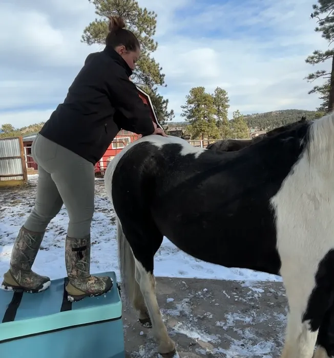 Amazing Grace Human and Animal Chiropractic Picture 7