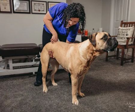 Dr Michele Broadhurst DC