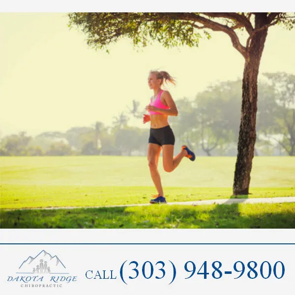 Dakota Ridge Chiropractic Picture 2