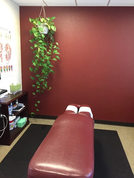 Orlando Chiropractic Picture 6