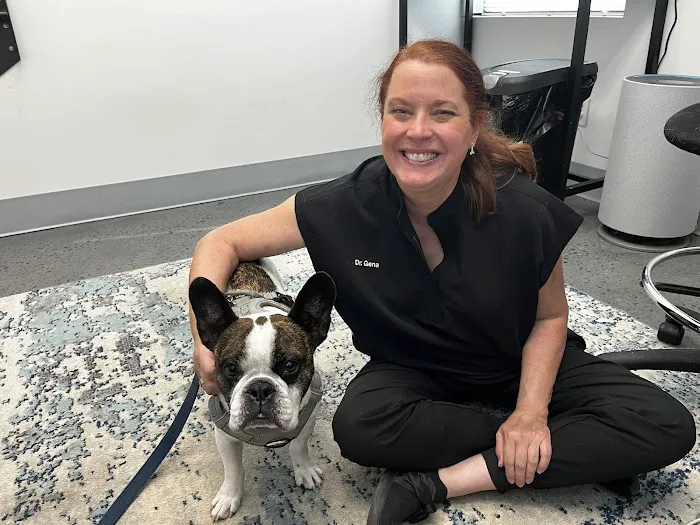 Tails Animal Chiropractic Care Picture 1