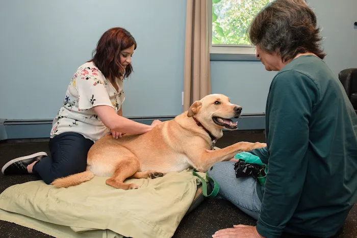 Tails Animal Chiropractic Care Picture 6