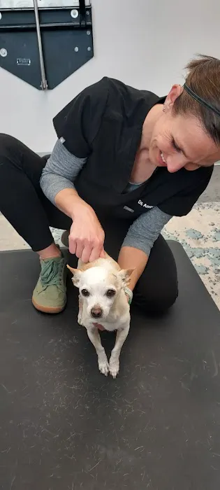 Tails Animal Chiropractic Care Picture 2