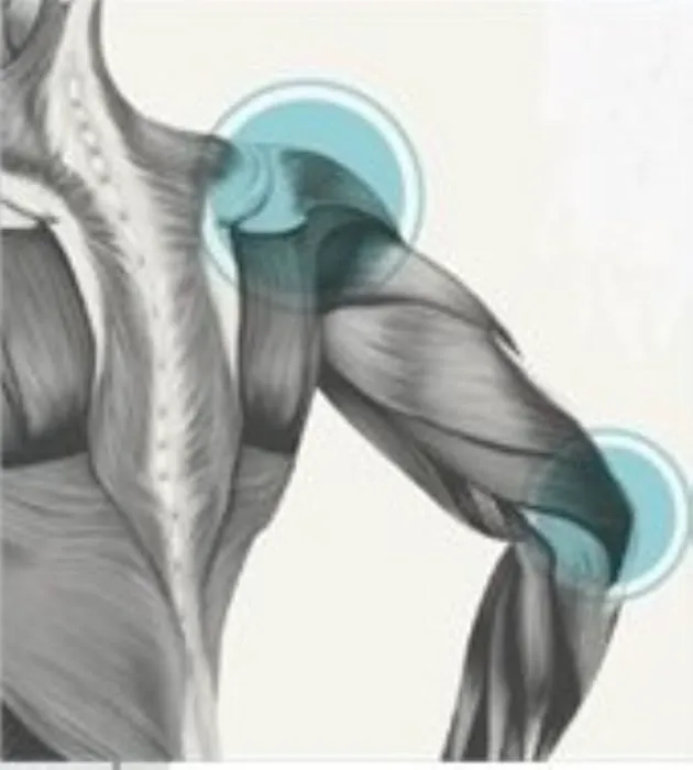 BioKinetic Chiropractic, LLC Picture 5