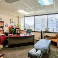 Denver CO Chiropractor ico