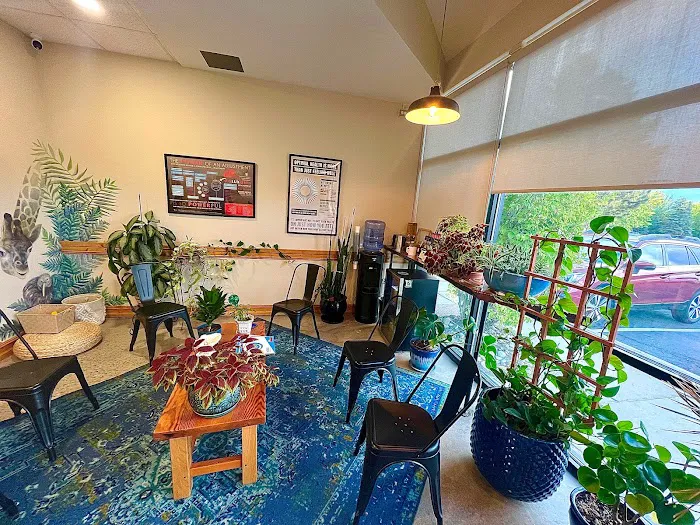 Koru Chiropractic Picture 4