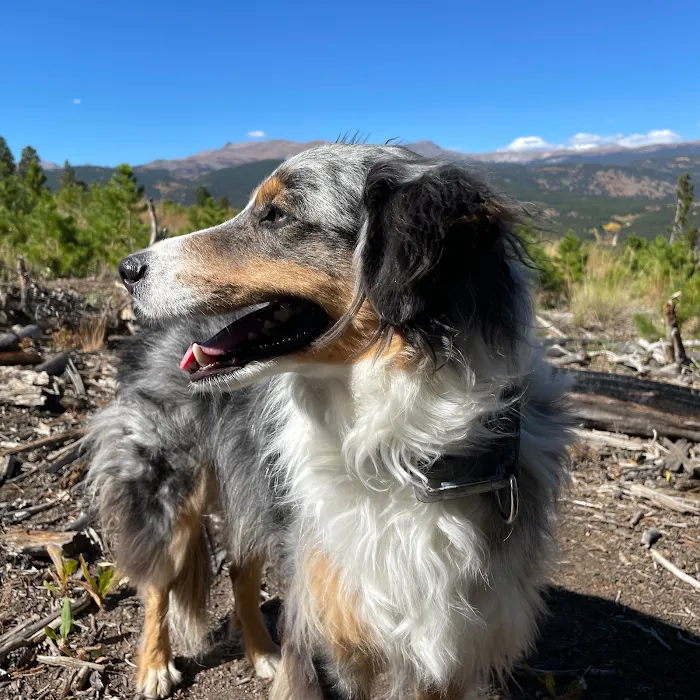 Chance Chiropractic Center Picture 2