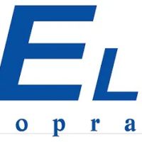 Elite Chiropractic - Dr. Joel Fry ico