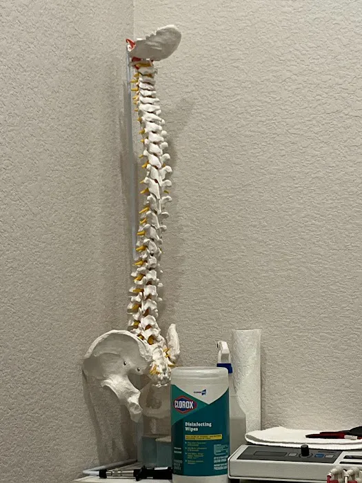 NorthStar Chiropractic Picture 1