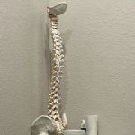 NorthStar Chiropractic