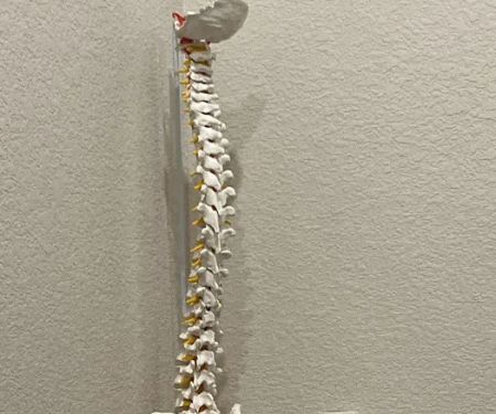 NorthStar Chiropractic