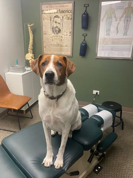 Discover Potential Chiropractic Picture 4