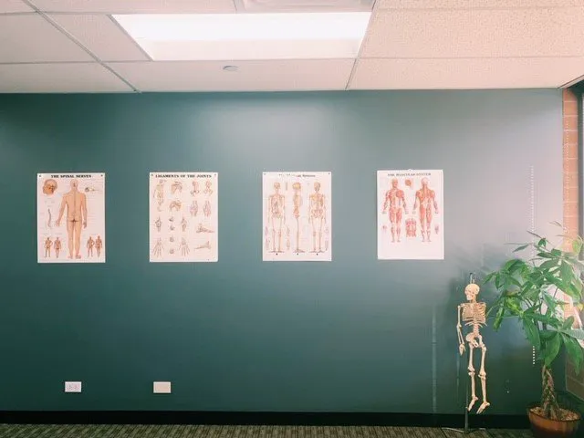 McWhorter Chiropractic & Neurological Rehabilitation Picture 7