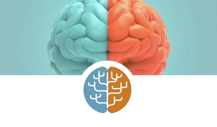 Austin Functional Wellness Chiropractic Picture 6