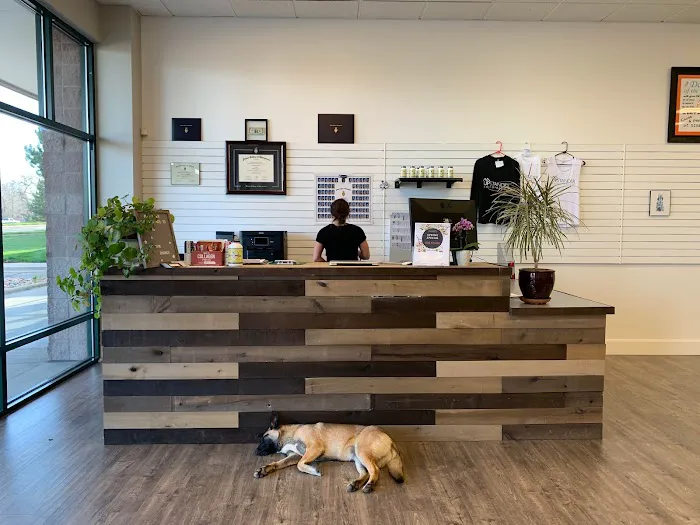 Upstander Chiropractic Picture 3