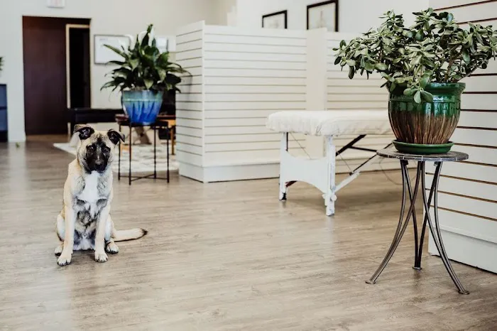 Upstander Chiropractic Picture 6