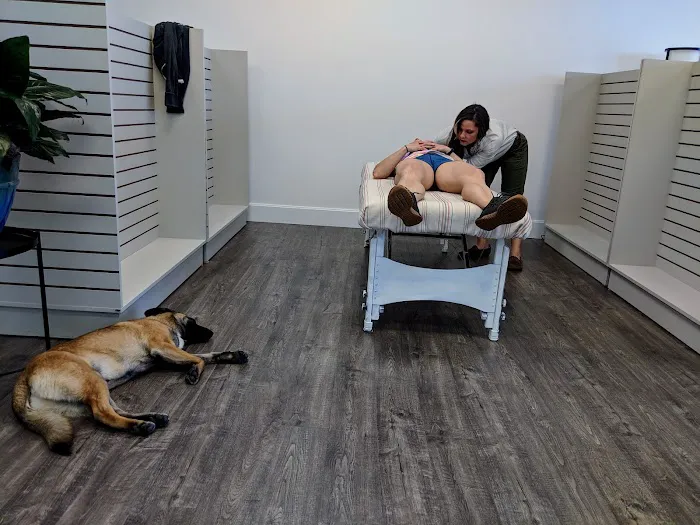 Upstander Chiropractic Picture 7