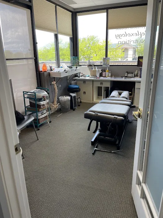 Horse and Rider Chiropractic Picture 1