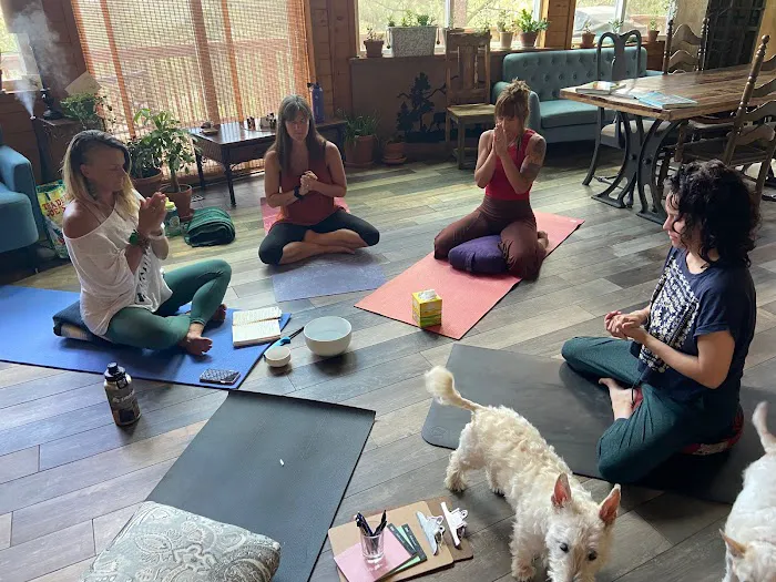Peak To Peak Wellness, LLC Picture 4