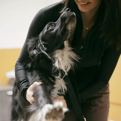 Top of the Line Chiropractic Picture 5