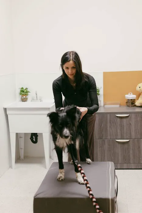 Top of the Line Chiropractic Picture 9