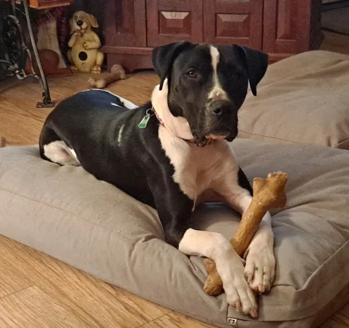 Top of the Line Chiropractic Picture 2