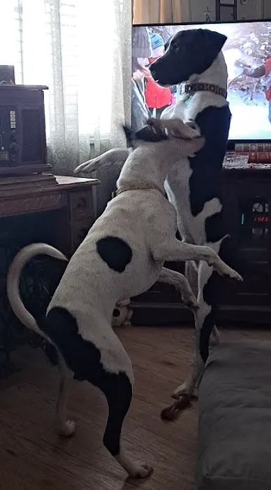 Top of the Line Chiropractic Picture 1