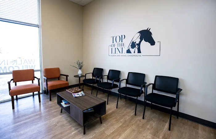Top of the Line Chiropractic Picture 10