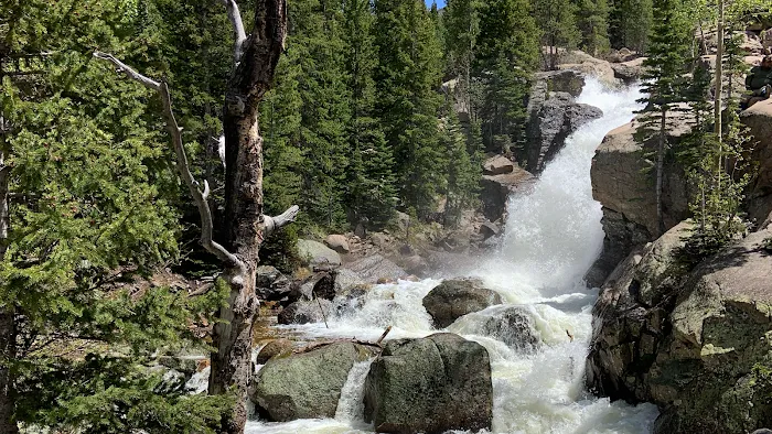 WildHealth Chiropractic Picture 1