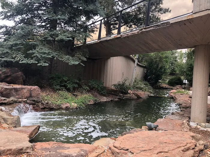 Dr. Shane Bartels Picture 1