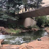 Dr. Shane Bartels ico