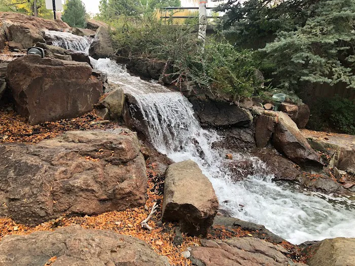 Dr. Shane Bartels Picture 2