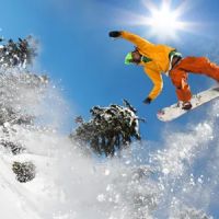 Lone Tree Chiropractic ico