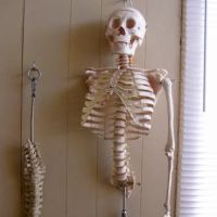 Watford Wellness Works ico