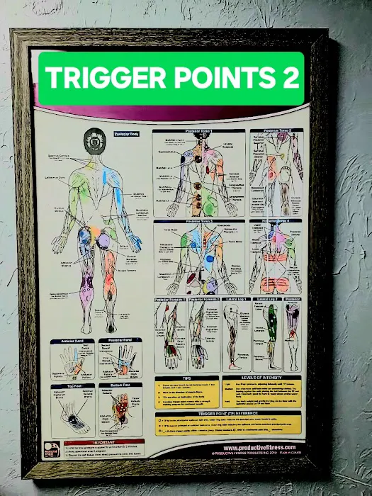 Warner Injury & Chiropractic Center Picture 3