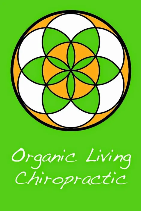 Organic Living Chiropractic Picture 3