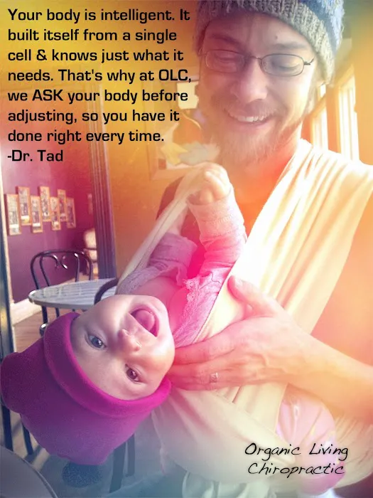 Organic Living Chiropractic Picture 8