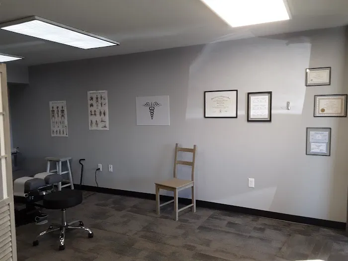 Snap Back Into Place Chiropractic Picture 2