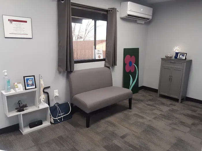 Snap Back Into Place Chiropractic Picture 3