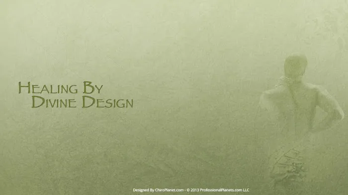 Healing By Divine Design Picture 2