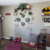 The Evolution Chiropractic ico