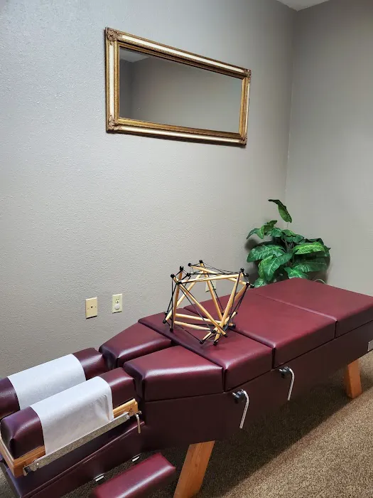 The Evolution Chiropractic Picture 8