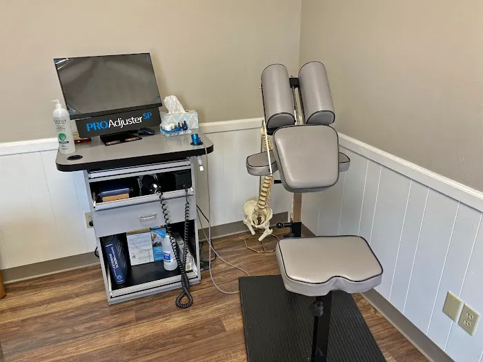 Kissing Camels Chiropractic Picture 2