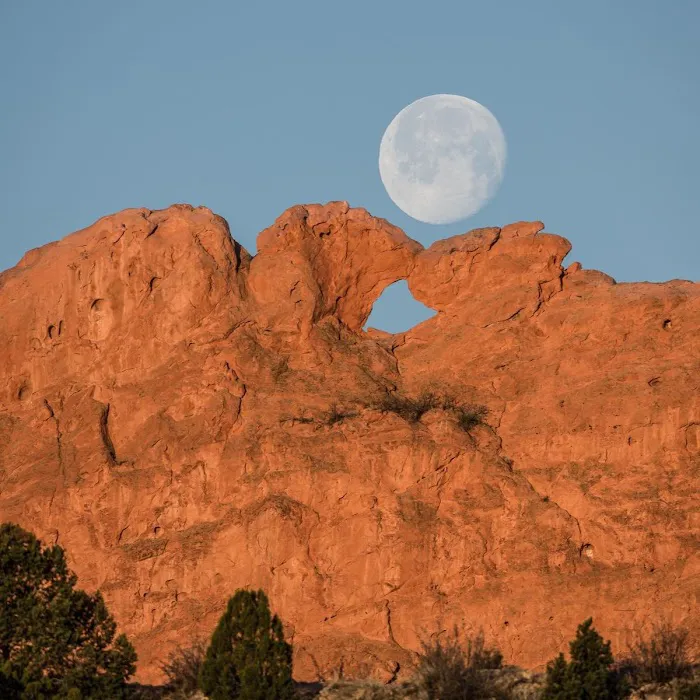 Kissing Camels Chiropractic Picture 6